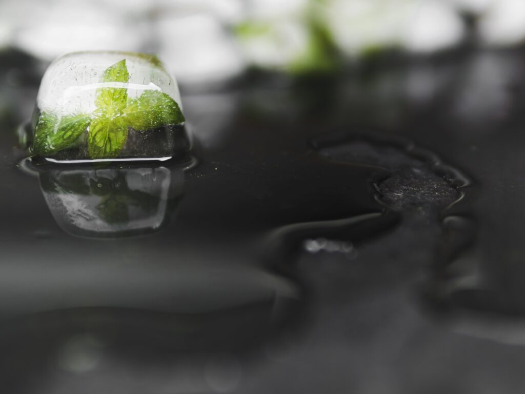 Environmental Impact Reduction